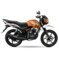 TVS Max ST 125