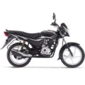 Bajaj Platina 100