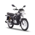 Bajaj Platina 110 