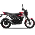 Bajaj Freedom 125 NG04 Drum LED 