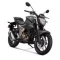 Suzuki Gixxer 250